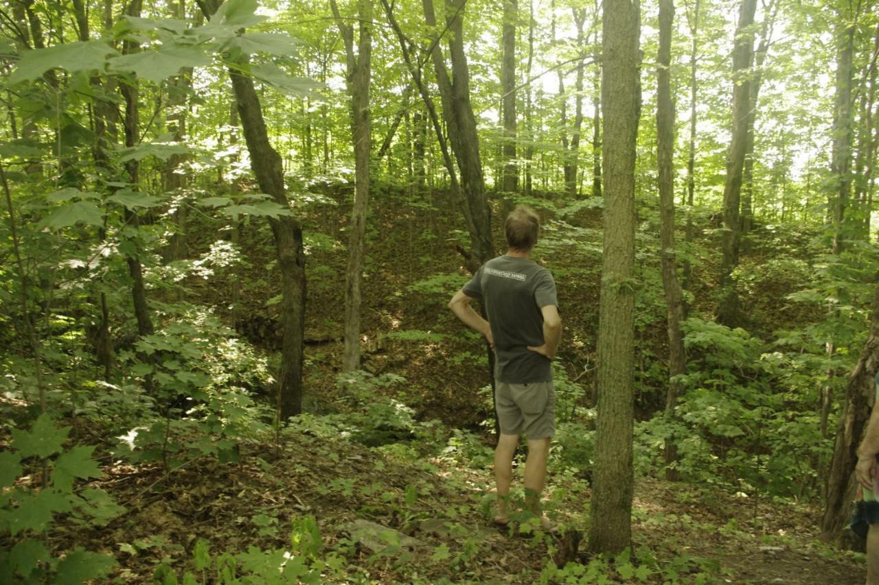 Gite Au Pied Des Appalaches Sainte-Sophie-D'Halifax Dış mekan fotoğraf