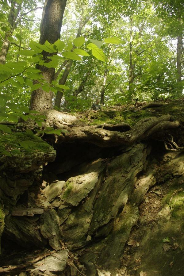 Gite Au Pied Des Appalaches Sainte-Sophie-D'Halifax Dış mekan fotoğraf